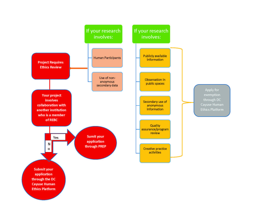 Summary of REB Process